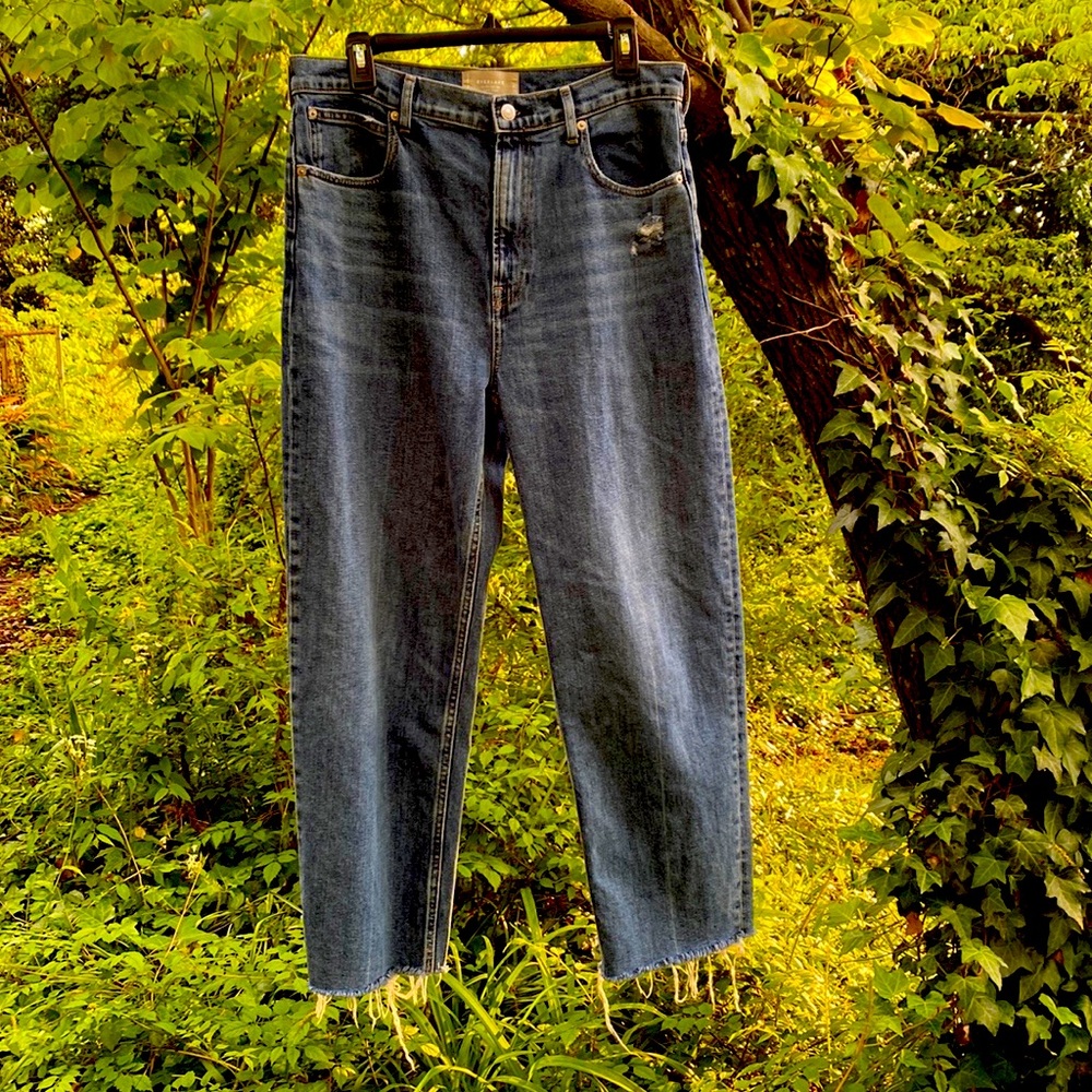 Everlane Way High Jeans size 31
